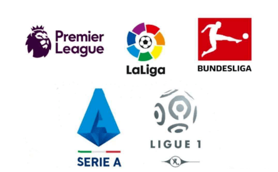 一个鲜明的 一个鲜明的